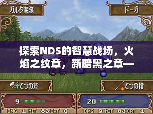 探索NDS的智慧戰(zhàn)場(chǎng)，火焰之紋章新暗黑之章——策略與冒險(xiǎn)的完美交融