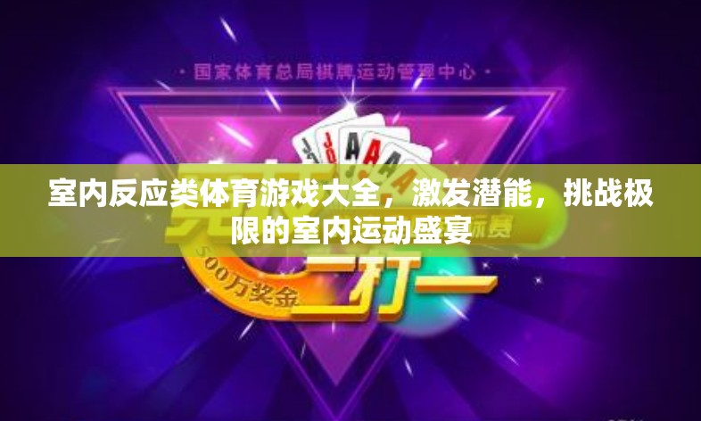 室內(nèi)反應(yīng)類體育游戲大全，激發(fā)潛能，挑戰(zhàn)極限的室內(nèi)運動盛宴