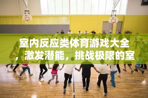 室內(nèi)反應(yīng)類體育游戲大全，激發(fā)潛能，挑戰(zhàn)極限的室內(nèi)運動盛宴