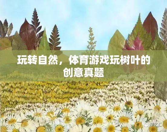 玩轉(zhuǎn)自然，樹葉創(chuàng)意體育游戲的樂趣與挑戰(zhàn)  第3張
