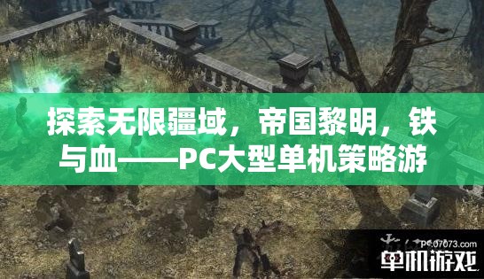 帝國黎明，鐵血征途——PC大型單機(jī)策略游戲的巔峰之作  第2張