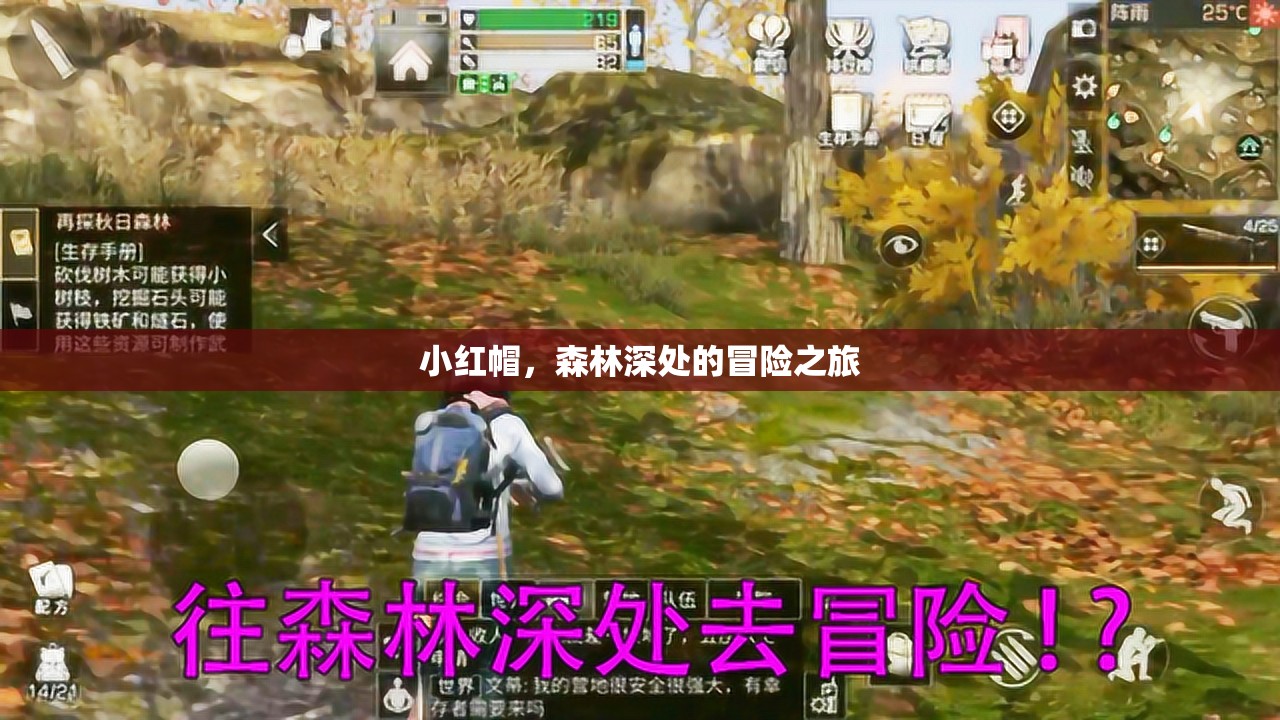 小紅帽，森林深處的冒險之旅