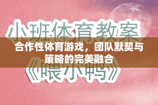 合作性體育游戲，團(tuán)隊(duì)默契與策略的完美融合