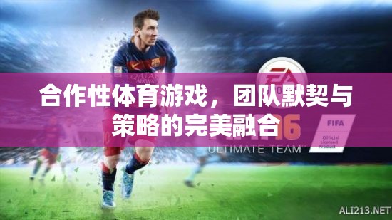 合作性體育游戲，團(tuán)隊(duì)默契與策略的完美融合