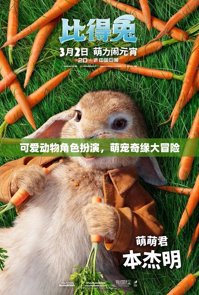 萌寵奇緣，可愛動物角色大冒險