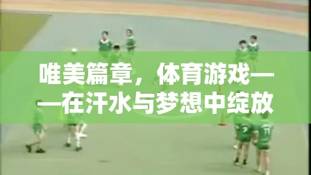 體育游戲，在汗水與夢(mèng)想中綻放的唯美篇章