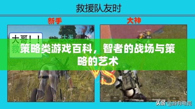 智者的戰(zhàn)場，策略類游戲中的策略藝術(shù)與百科指南