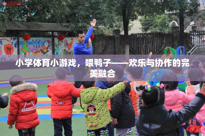 小學體育小游戲，喂鴨子——歡樂與協(xié)作的完美融合