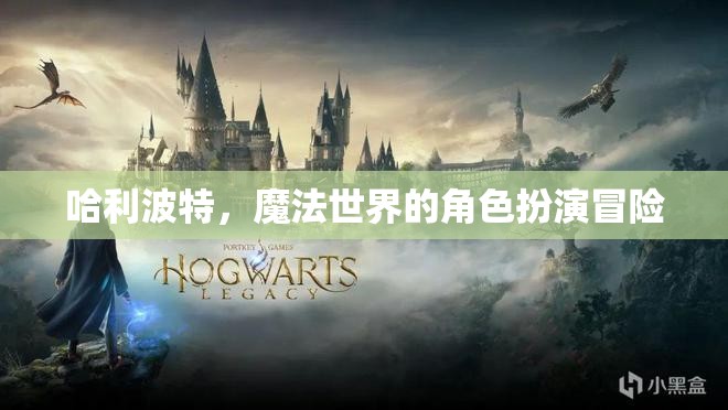 哈利波特，魔法世界的角色扮演冒險