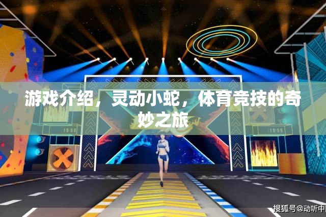 靈動(dòng)小蛇，體育競(jìng)技的奇妙冒險(xiǎn)之旅