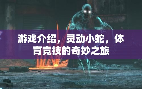 靈動(dòng)小蛇，體育競(jìng)技的奇妙冒險(xiǎn)之旅