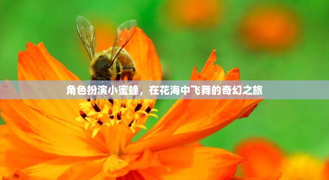 小蜜蜂的奇幻花海之旅，在花間翩翩起舞的夢(mèng)幻冒險(xiǎn)