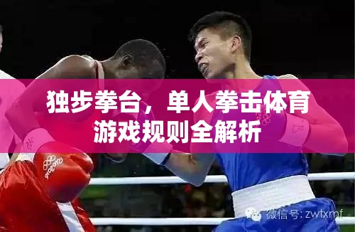 獨步拳臺，單人拳擊體育游戲全面解析