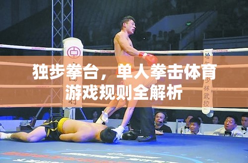 獨步拳臺，單人拳擊體育游戲全面解析