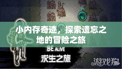 小內(nèi)存奇跡，探索遺忘之地的冒險(xiǎn)之旅