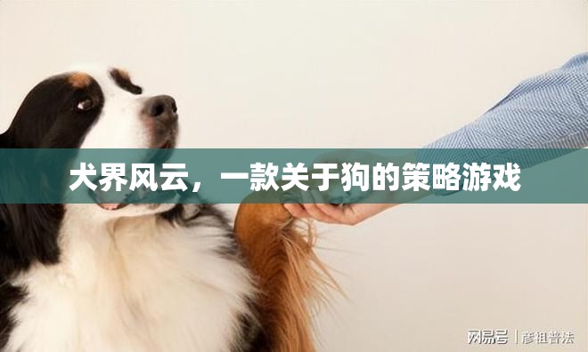 犬界風(fēng)云，策略與愛交織的狗狗王國
