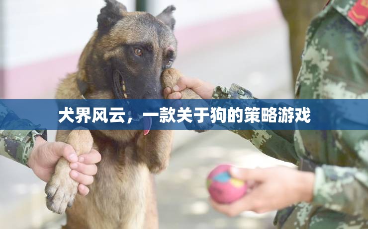 犬界風(fēng)云，策略與愛交織的狗狗王國