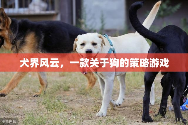 犬界風(fēng)云，策略與愛交織的狗狗王國