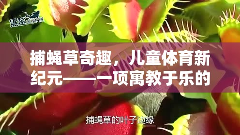捕蠅草奇趣兒童戶(hù)外探險(xiǎn)游戲，寓教于樂(lè)的新紀(jì)元