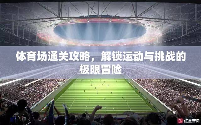 解鎖極限冒險，體育場通關(guān)攻略