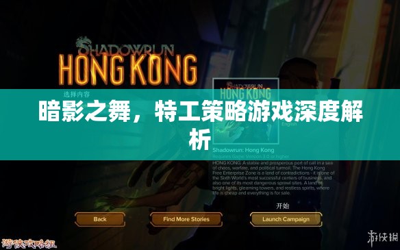 暗影之舞，特工策略游戲的深度解析與策略指南
