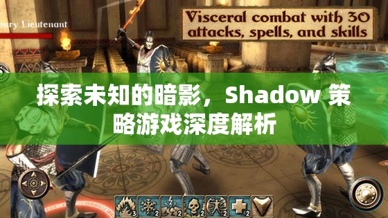 Shadow 策略游戲，探索未知的暗影深度解析