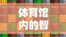 智慧迷宮，體育館內(nèi)的密室逃脫游戲全解析