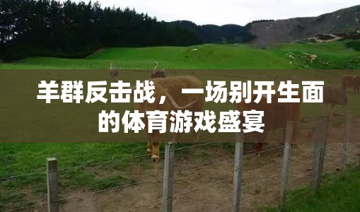 羊群反擊戰(zhàn)，一場別開生面的體育游戲盛宴