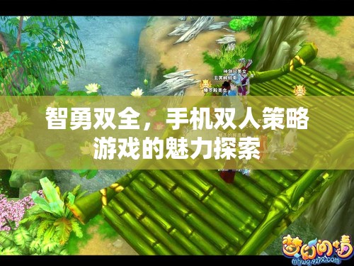 智勇并進(jìn)，探索手機(jī)雙人策略游戲的魅力