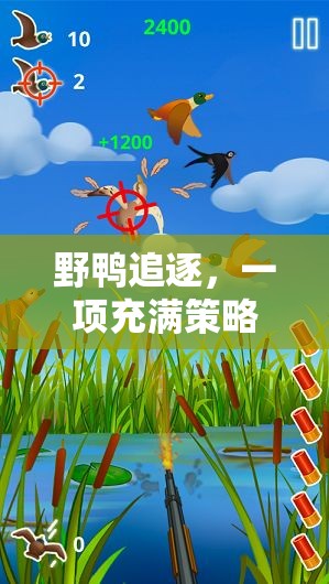 野鴨追逐，策略與協(xié)作的體育游戲反思