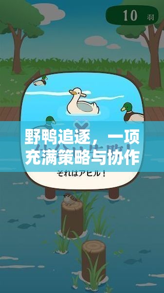 野鴨追逐，策略與協(xié)作的體育游戲反思