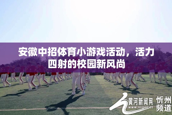 安徽中招體育小游戲，校園新風尚，活力四射的青春盛宴