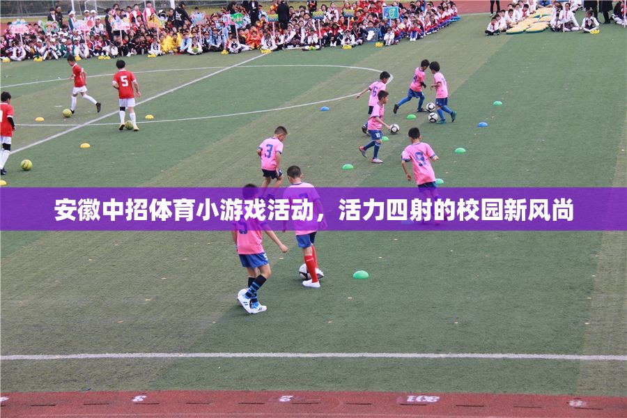 安徽中招體育小游戲，校園新風尚，活力四射的青春盛宴