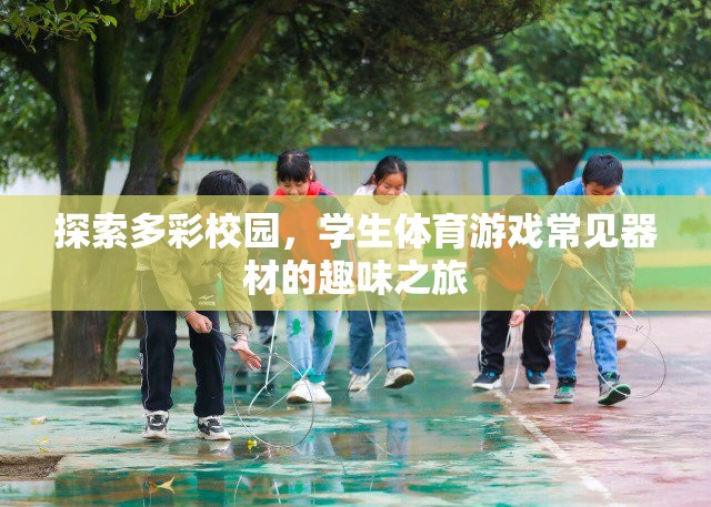 多彩校園，學(xué)生體育游戲器材的趣味探索