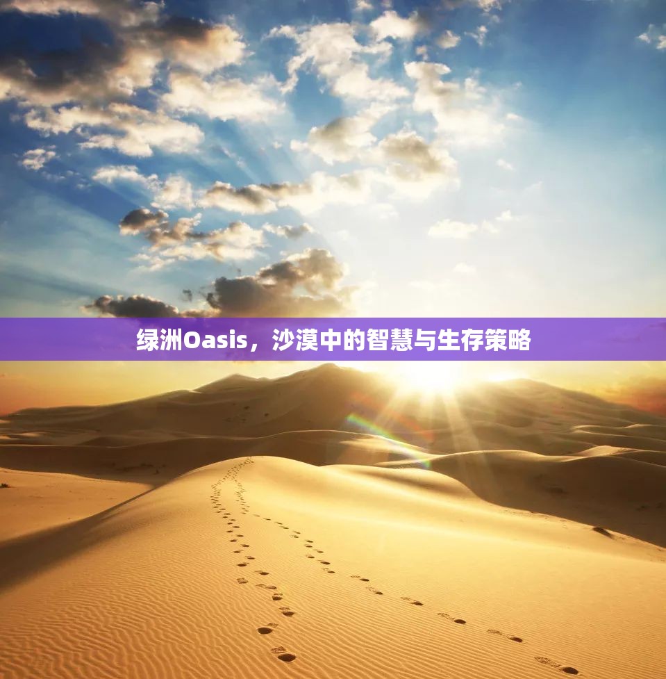綠洲Oasis，沙漠中的智慧與生存策略