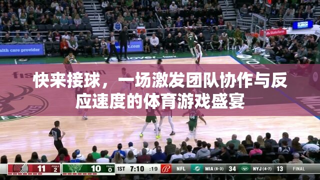 接球挑戰(zhàn)，一場(chǎng)激發(fā)團(tuán)隊(duì)協(xié)作與反應(yīng)速度的體育游戲盛宴