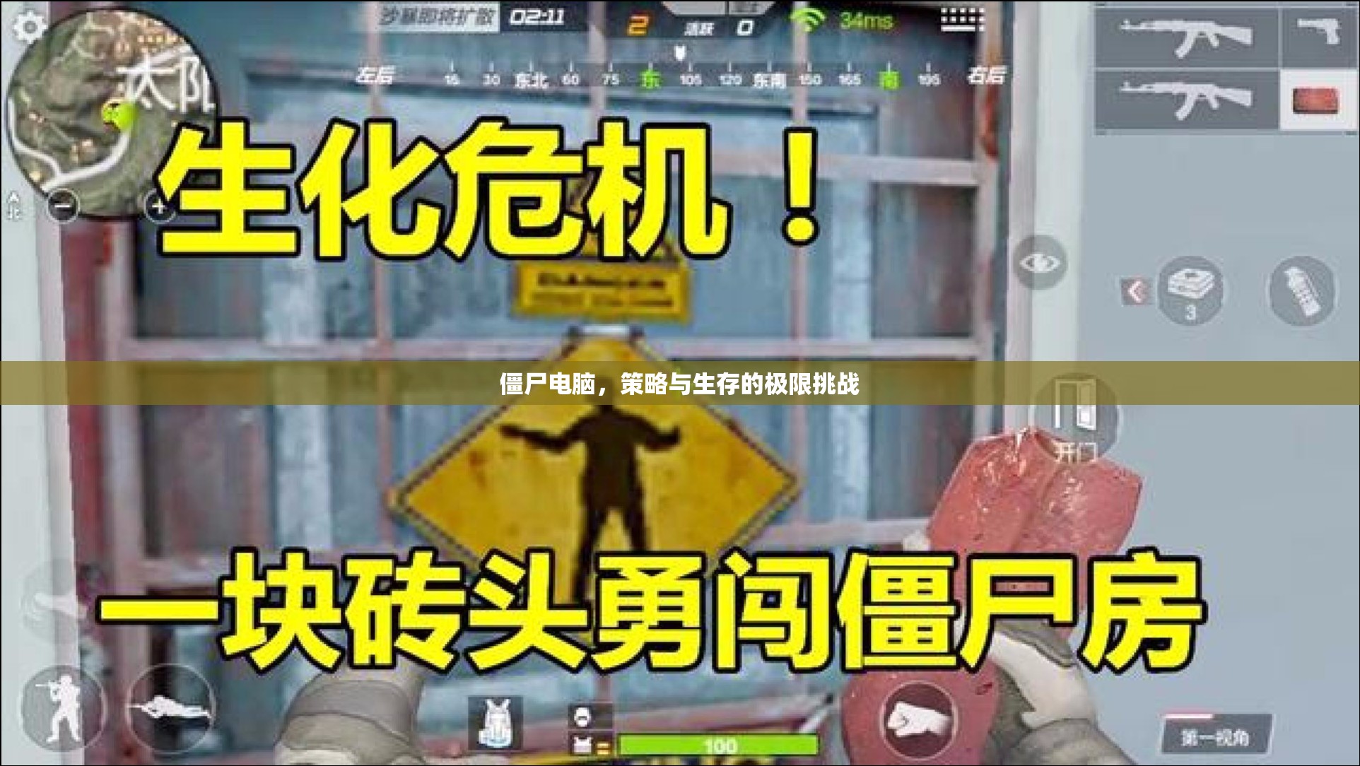 僵尸電腦，策略與生存的極限挑戰(zhàn)