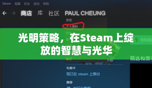 光明策略，Steam上的智慧與光華綻放  第2張