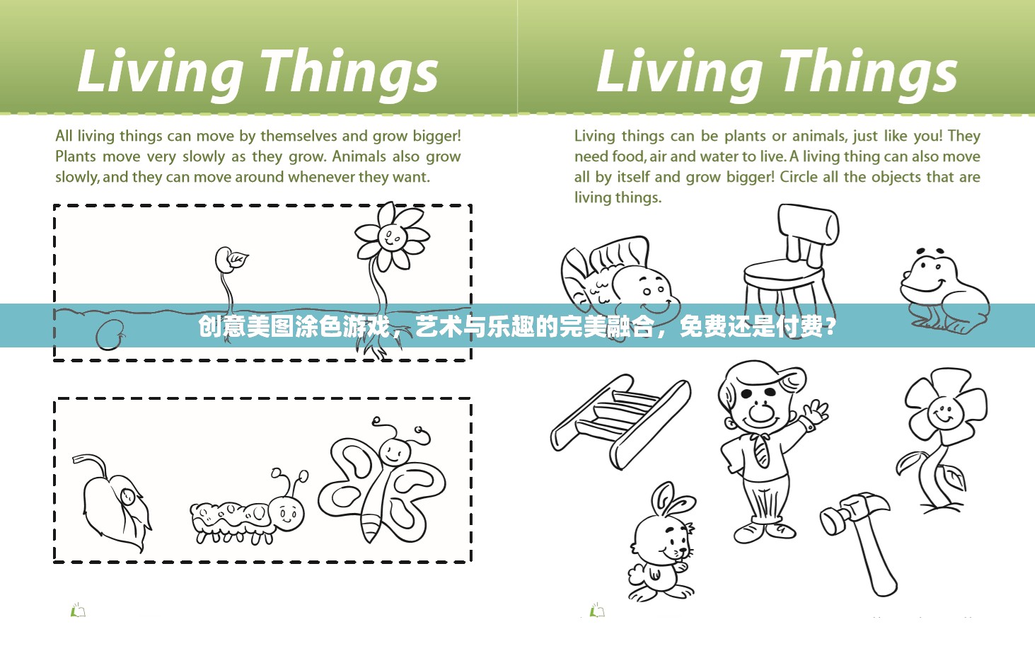藝術(shù)與樂趣的完美碰撞，免費(fèi)與付費(fèi)的創(chuàng)意美圖涂色游戲