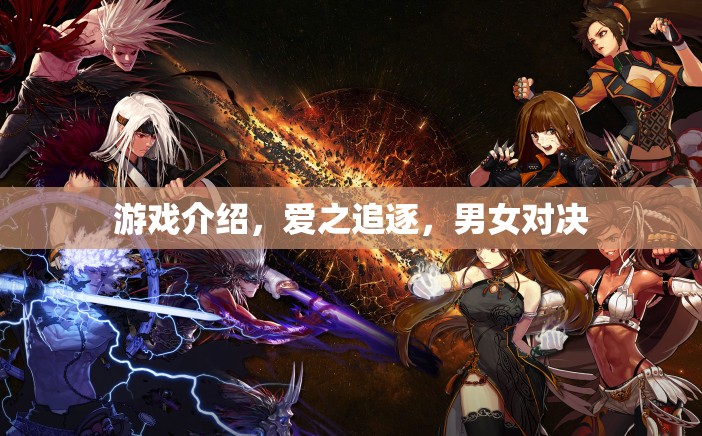 愛之追逐，男女對決的浪漫游戲