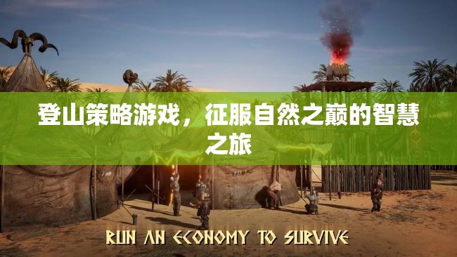 征服自然之巔，智慧之旅的登山策略游戲