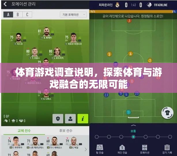 探索體育與游戲融合的無限可能，一項(xiàng)體育游戲調(diào)查的啟示