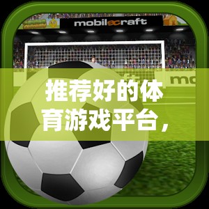 解鎖虛擬賽場，探索頂級體育游戲平臺的無限可能