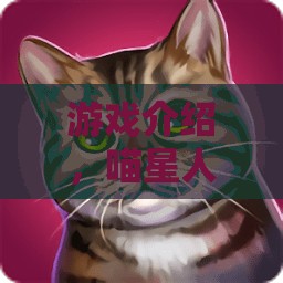 喵星人鞋履奇緣，小貓咪的時(shí)尚角色扮演之旅  第2張