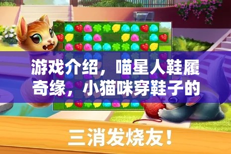 喵星人鞋履奇緣，小貓咪的時(shí)尚角色扮演之旅  第3張