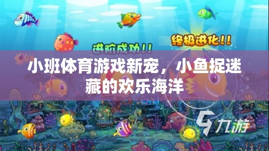 小魚(yú)捉迷藏，小班體育游戲的新寵與歡樂(lè)海洋