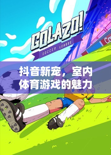 抖音新寵，室內(nèi)體育游戲的魅力大揭秘