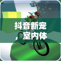 抖音新寵，室內(nèi)體育游戲的魅力大揭秘