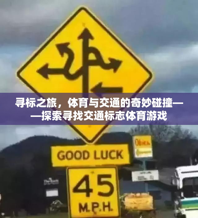 尋標(biāo)之旅，體育與交通的奇妙碰撞