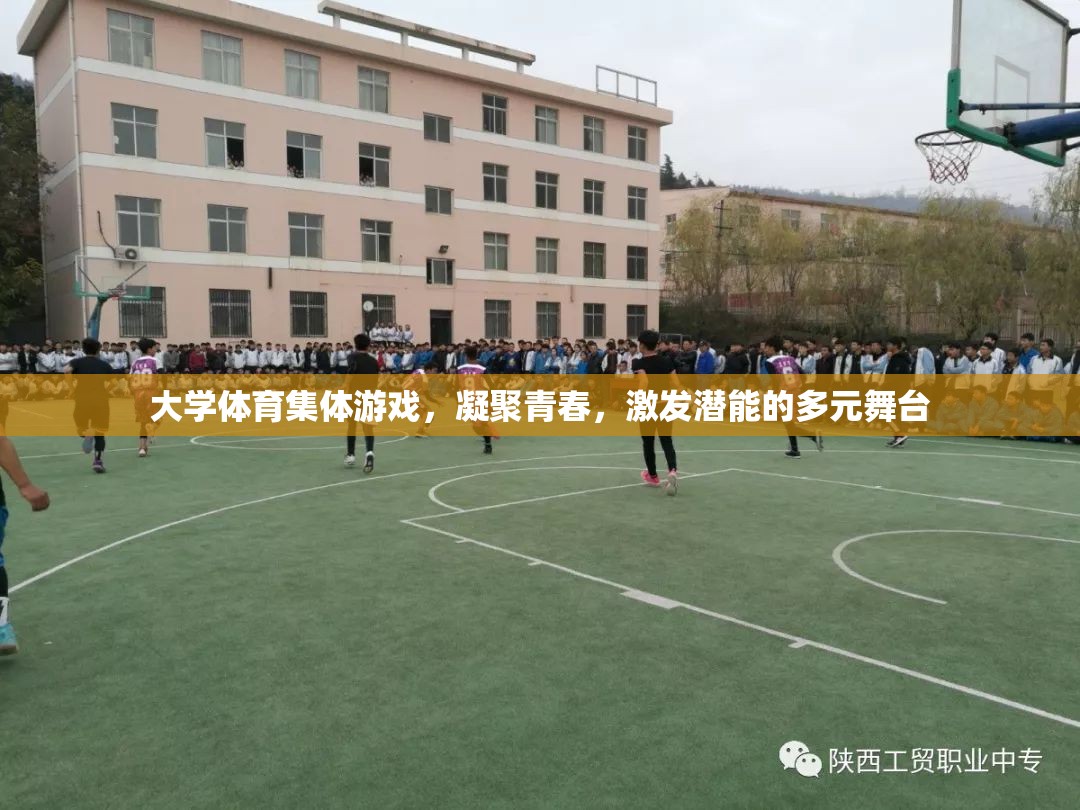 大學(xué)體育集體游戲，凝聚青春，激發(fā)潛能的多元舞臺(tái)
